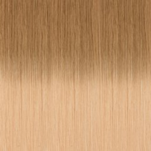 Angel Halo 24/18+613 50cm M/brown Blonde